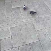 ヒメ日記 2025/08/18 08:21 投稿 れみ ウルトラセレクション