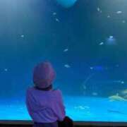 ヒメ日記 2025/10/06 18:50 投稿 れみ ウルトラセレクション