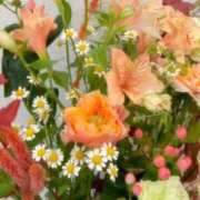 ヒメ日記 2025/11/20 07:20 投稿 れみ ウルトラセレクション