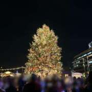 ヒメ日記 2025/12/24 00:53 投稿 れみ ウルトラセレクション