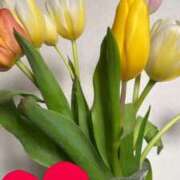 ヒメ日記 2026/01/20 20:30 投稿 れみ ウルトラセレクション