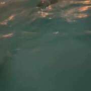 ヒメ日記 2026/02/20 18:21 投稿 れみ ウルトラセレクション