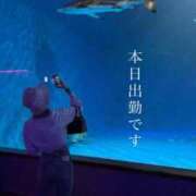 ヒメ日記 2026/09/11 17:23 投稿 れみ ウルトラセレクション