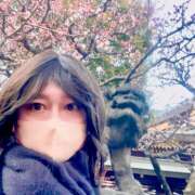 ヒメ日記 2025/02/23 06:27 投稿 あずさ フレッシュハニー