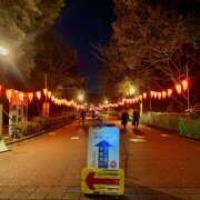 ヒメ日記 2025/03/20 08:26 投稿 あずさ フレッシュハニー