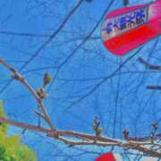 ヒメ日記 2025/03/22 10:24 投稿 あずさ フレッシュハニー