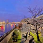 ヒメ日記 2025/03/31 06:31 投稿 あずさ フレッシュハニー