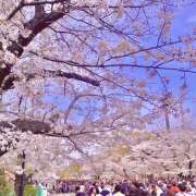 ヒメ日記 2025/04/05 16:29 投稿 あずさ フレッシュハニー