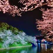 ヒメ日記 2025/04/06 11:27 投稿 あずさ フレッシュハニー