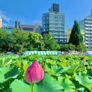 ヒメ日記 2025/07/16 06:39 投稿 あずさ フレッシュハニー