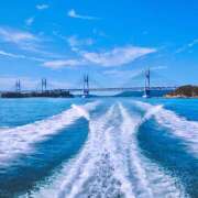 ヒメ日記 2025/11/27 04:19 投稿 あずさ フレッシュハニー