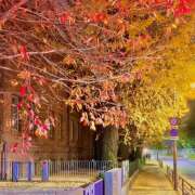 ヒメ日記 2025/12/02 23:09 投稿 あずさ フレッシュハニー