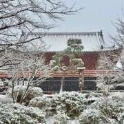 ヒメ日記 2026/02/08 09:04 投稿 あずさ フレッシュハニー