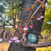 ヒメ日記 2026/02/17 07:56 投稿 あずさ フレッシュハニー