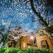 ヒメ日記 2026/03/28 07:29 投稿 あずさ フレッシュハニー