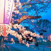 ヒメ日記 2026/03/31 07:01 投稿 あずさ フレッシュハニー