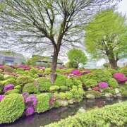 ヒメ日記 2026/04/12 07:55 投稿 あずさ フレッシュハニー