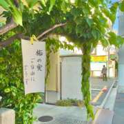 ヒメ日記 2026/05/26 07:43 投稿 あずさ フレッシュハニー