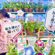 ヒメ日記 2026/07/07 00:51 投稿 あずさ フレッシュハニー