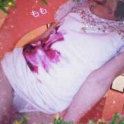 ヒメ日記 2024/12/25 19:19 投稿 もも Mrs Sirena（ミセスシレナ）