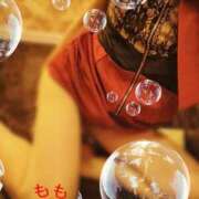 ヒメ日記 2025/07/18 10:28 投稿 もも Mrs Sirena（ミセスシレナ）