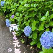 ヒメ日記 2026/06/21 10:41 投稿 あおい 藤沢人妻城