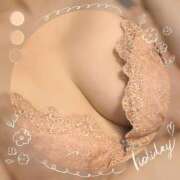 ヒメ日記 2025/02/03 22:53 投稿 加藤 品川やすらぎ