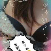 ヒメ日記 2025/07/08 17:44 投稿 加藤 品川やすらぎ