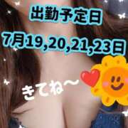 ヒメ日記 2025/07/14 01:06 投稿 加藤 品川やすらぎ