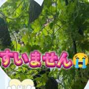 ヒメ日記 2025/09/12 12:58 投稿 加藤 品川やすらぎ