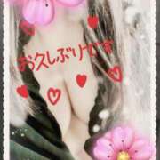 ヒメ日記 2025/11/21 18:14 投稿 加藤 品川やすらぎ