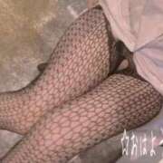 ヒメ日記 2025/01/09 08:33 投稿 ほたる 厚木人妻城