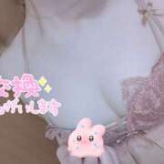 ヒメ日記 2025/05/01 12:02 投稿 まな かりんとplus　上野御徒町