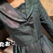 ヒメ日記 2025/03/08 21:00 投稿 たお 世界のあんぷり亭 柏