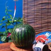 ヒメ日記 2025/08/21 14:33 投稿 かかお アイスキャンディーラブ