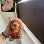 ヒメ日記 2025/01/29 03:38 投稿 つばさ 静岡♂風俗の神様 静岡店