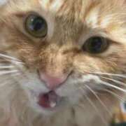 ヒメ日記 2025/02/02 16:30 投稿 つばさ 静岡♂風俗の神様 静岡店