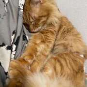 ヒメ日記 2025/02/07 13:18 投稿 つばさ 静岡♂風俗の神様 静岡店