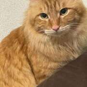 ヒメ日記 2025/02/07 22:58 投稿 つばさ 静岡♂風俗の神様 静岡店