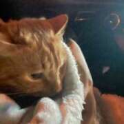 ヒメ日記 2025/02/08 15:58 投稿 つばさ 静岡♂風俗の神様 静岡店