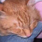 ヒメ日記 2025/04/12 13:28 投稿 つばさ 静岡♂風俗の神様 静岡店