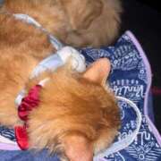 ヒメ日記 2025/10/24 12:48 投稿 つばさ 静岡♂風俗の神様 静岡店