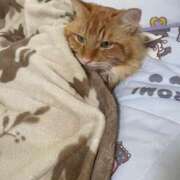 ヒメ日記 2025/11/27 19:58 投稿 つばさ 静岡♂風俗の神様 静岡店