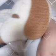 ヒメ日記 2025/12/16 18:28 投稿 つばさ 静岡♂風俗の神様 静岡店