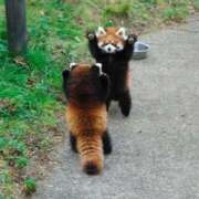 ヒメ日記 2026/01/31 11:58 投稿 つばさ 静岡♂風俗の神様 静岡店