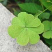 ヒメ日記 2026/02/23 12:58 投稿 つばさ 静岡♂風俗の神様 静岡店