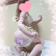 ヒメ日記 2024/12/06 12:38 投稿 ヒメダイ　姫鯛 女の子市場