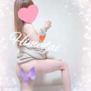 ヒメ日記 2024/12/11 18:18 投稿 ヒメダイ　姫鯛 女の子市場