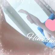 ヒメ日記 2025/04/19 17:38 投稿 ヒメダイ　姫鯛 女の子市場