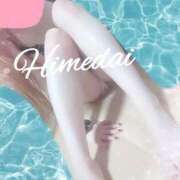 ヒメダイ　姫鯛 最後ですm(_ _)m 女の子市場